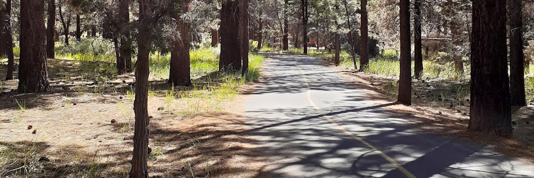 Things To Do Alpine Pedal Path