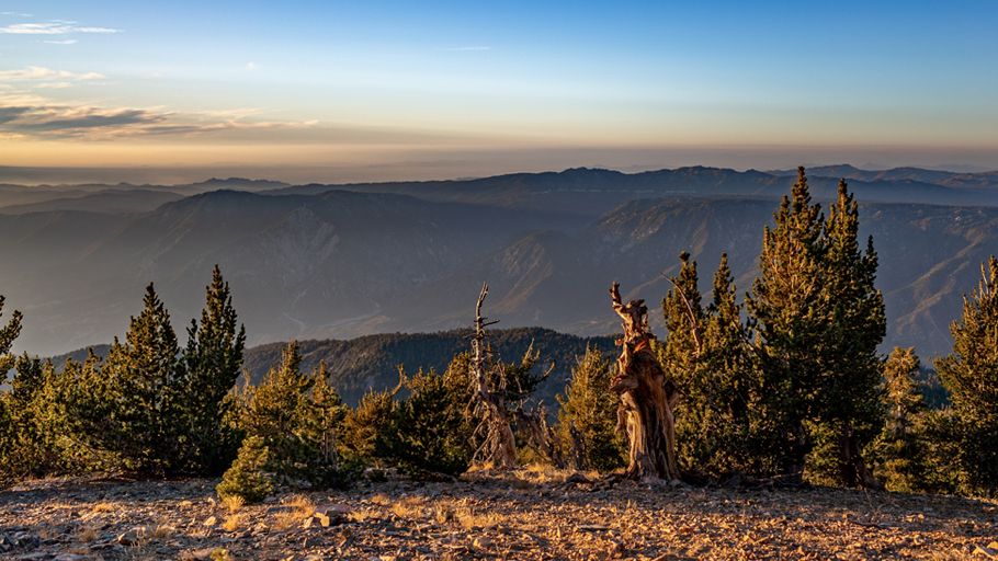 Thing To Do Local Big Bear Vendors