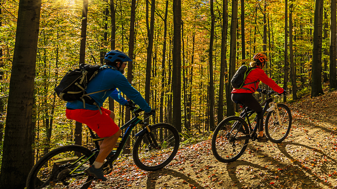 Things To Do Big Bear Family-Friendly Vacations